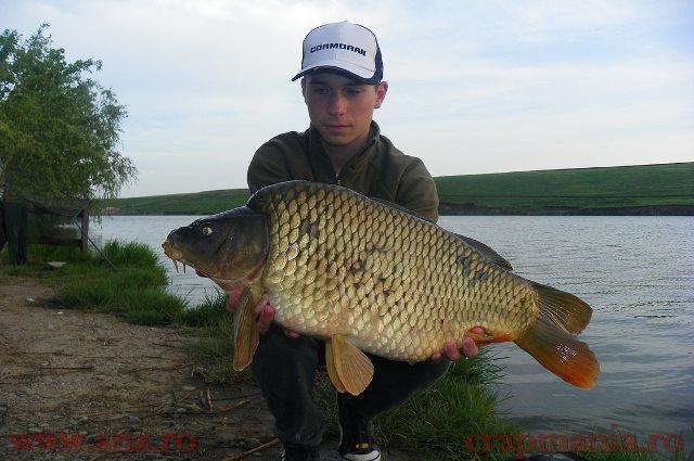 CAPTURI PARTY CUP - crapi-mari-sulimanu8.jpg